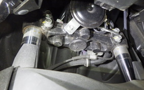 YAMAHA CYGNUSｸﾞﾘﾌｧｽ 2020 SEJ4J