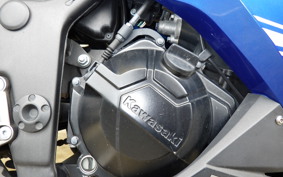 KAWASAKI NINJA 250 EX250L
