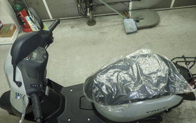 HONDA TACT Basket 2026 AF79