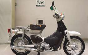 HONDA LITTLE CUB 2019 AA01