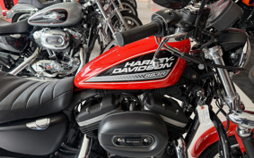HARLEY XL883R 2009 CS2