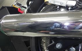 OTHER +ENFIELD ｺﾝﾁﾈﾝﾀﾙGT650