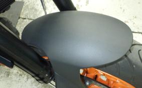 INDIAN FTR1200 2025