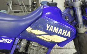 YAMAHA TT250R 2017 4GY
