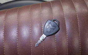 OTHER +UNREGISTERED MODEL by BDS250