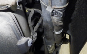 HONDA TODAY 2 2025 AF67