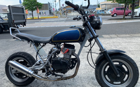 HONDA APE 50 AC16