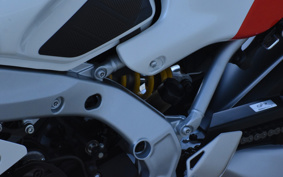 YAMAHA XSR900 GP 2024 RN96J