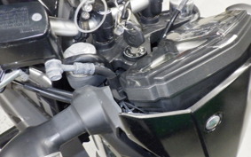 YAMAHA MT-25 2013 RG10J