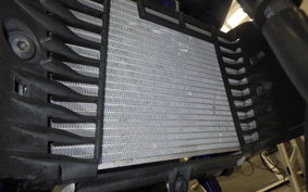 YAMAHA MT-25 2017 RG10J