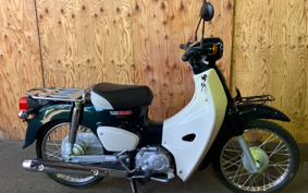 BMW R18 100th 2023 0L11