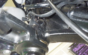 HARLEY FXCW 1580 2009