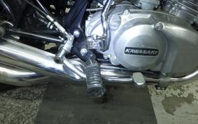 KAWASAKI 250SS 2010 S1F