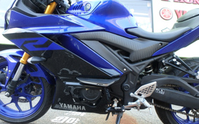 YAMAHA YZF-R25 RG10