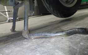 HONDA JOKER 90 2025 HF09