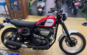 YAMAHA SCR950 2022 VN09J