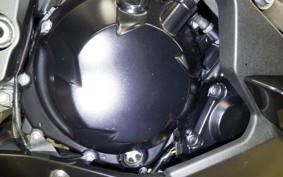 KAWASAKI NINJA 1000 SX 2020 ZXT02K