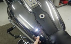 HARLEY FLSTFI1920 2025