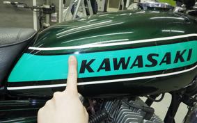KAWASAKI 250SS 2010 S1F
