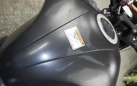SUZUKI ｼﾞｸｻｰ250 2005 ED22B