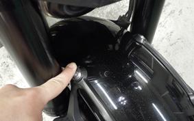 KAWASAKI Z900RS CAFE 2021 ZR900C