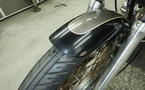 YAMAHA VIRAGO 250 2021 3DM