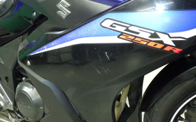 SUZUKI GSX250R 2024