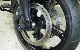 HARLEY FLTRX1920 2024