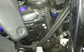 SUZUKI GSX250R 2025