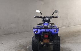 OTHER  BUGGY 50CC ..