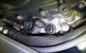 OTHER +FBﾓﾝﾃﾞｨｱﾙHPS300