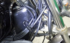 YAMAHA VIRAGO 250 2006 3DM