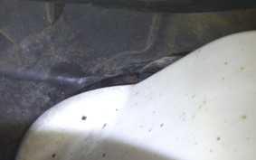 HONDA GYRO CANOPY 2026 TA03