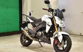 KAWASAKI Z125 PRO BR125H