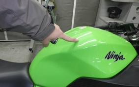 KAWASAKI NINJA 250 EX250L