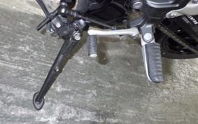 KAWASAKI Z900RS 2023