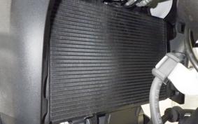 SUZUKI Vｽﾄﾛｰﾑ650XT 2020