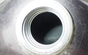 YAMAHA DRAGSTAR 250 TRIKE 2009 VG02J