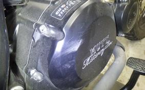 OTHER +UNREGISTERED MODEL by BDS250 2015