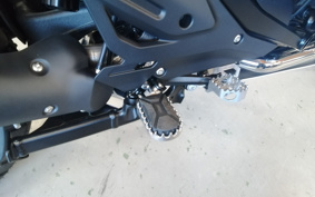 BMW R1300GS Adventure ASA 2025 0M31