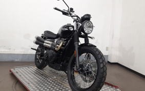 TRIUMPH SCRAMBLER 2025 D5BG25