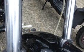 OTHER +UNREGISTERED MODEL by BDS250