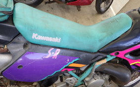 KAWASAKI KDX250SR DX250F