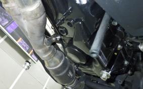 TRIUMPH TIGER 1050 2009