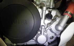 YAMAHA WR250X DG15J