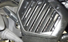 HONDA TACT Basket 2026 AF79