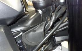 TRIUMPH DAYTONA 660 2024