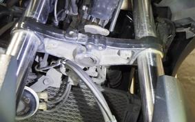 SUZUKI Vｽﾄﾛｰﾑ250A 2025