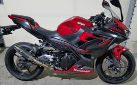 KAWASAKI NINJA 400 2019 EX400G