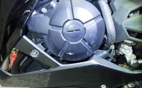 KAWASAKI Z250 A 2021 ER250C